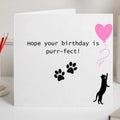 Funny Cat git, Black Cats Notecards , 6x6 Inch Square Greeting Card, FSC Certified Paper